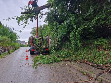 219555633467830948 (002)